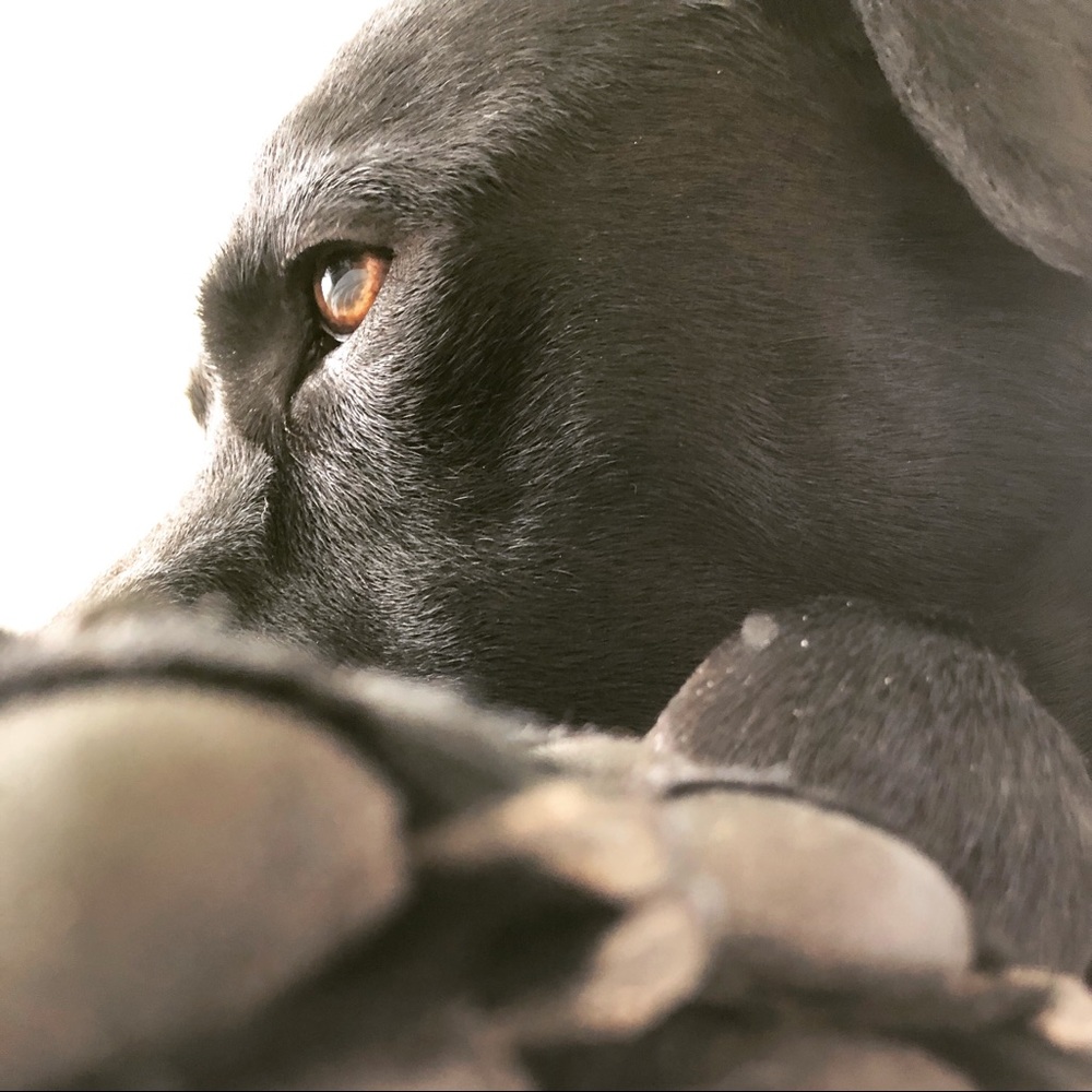 Meet your Posher, Danielle